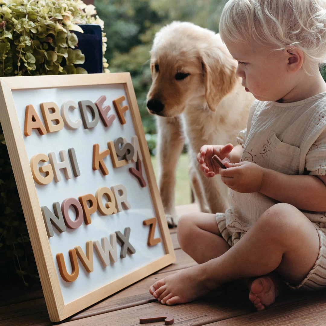 Alphabet Magnet Play Set